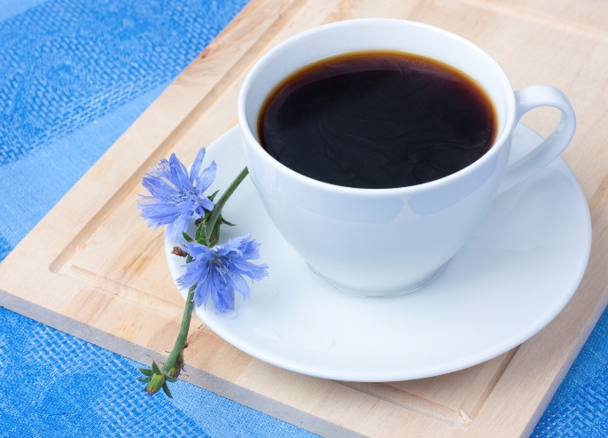 chicory in a white cup